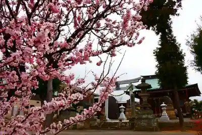 熊野福藏神社の景色