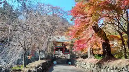 妙義神社(群馬県)