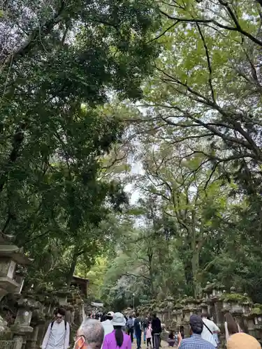 春日大社(奈良県)