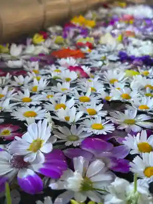 群馬県護国神社(群馬県)