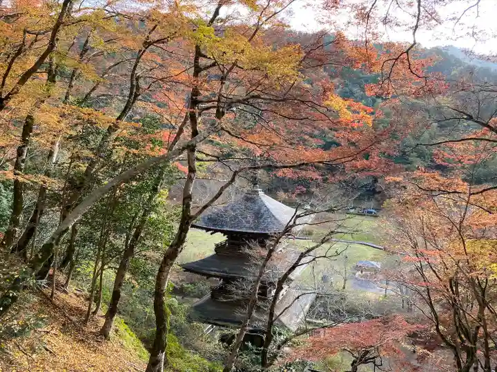金剛院(京都府)