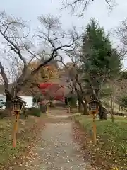 新倉富士浅間神社の建物その他