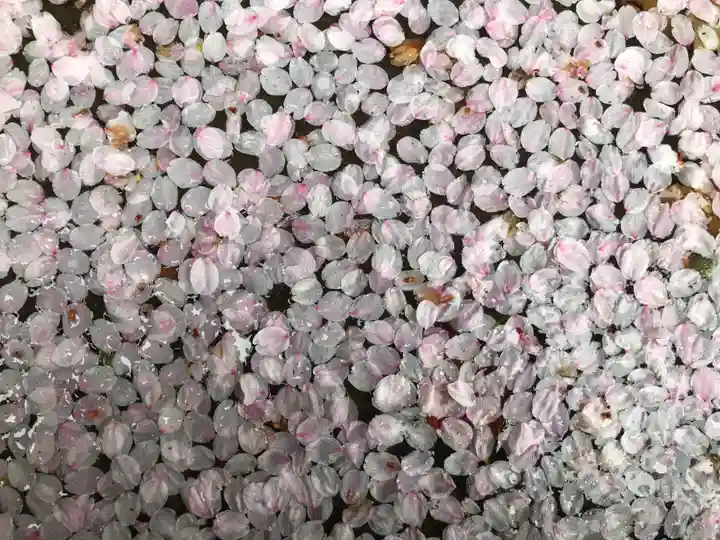 宝厳寺(滋賀県)