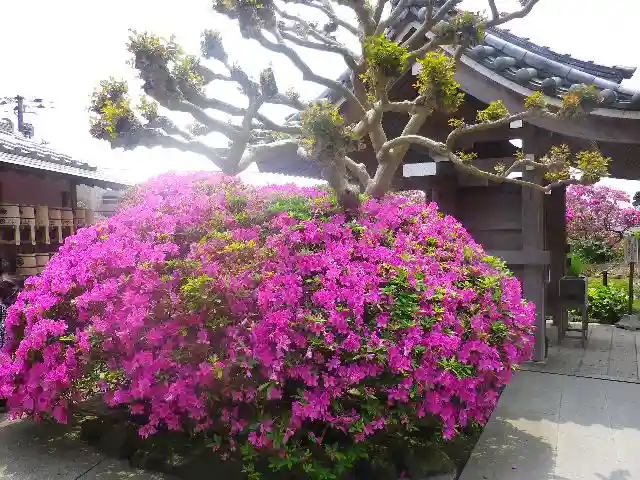安養院 (田代寺)のその他建物