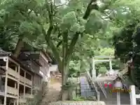 多度大社のその他建物