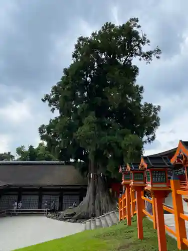 春日大社の自然