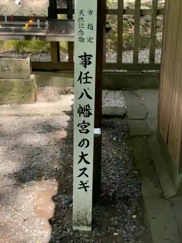 事任八幡宮の{uncategorized: "未分類", other: "その他", undefined: "問題あり", building: "その他建物", grave: "お墓", sacred_gate: "鳥居", guardian: "狛犬", statue: "像", buddha: "仏像", history: "歴史", nature: "自然", garden: "庭園", animal: "動物", pagoda: "塔", temizu: "手水舎", mountain_gate: "山門・神門", sanctuary: "本殿・本堂", subordinate: "末社・摂社", art: "芸術", scenery: "景色", jizo: "地蔵", ema: "絵馬", goshuin: "御朱印", omikuji: "おみくじ", items: "授与品その他", amulet: "お守り", goshuincho: "御朱印帳", eats: "食事", festival: "お祭り", votive_dance: "神楽", shichigosan: "七五三参", wedding: "結婚式", experience: "体験その他", initially: "初詣", around: "周辺", anti_infection: "感染症対策"}