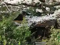 宗像神社の自然