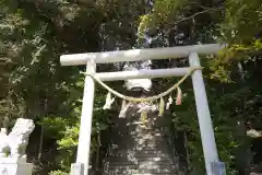 大國魂神社の鳥居