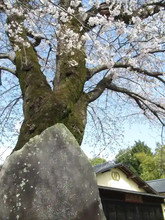 真光寺(千葉県)