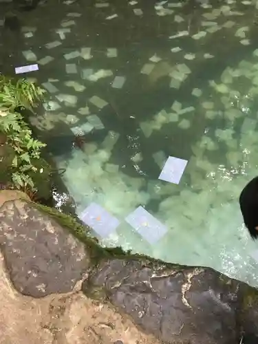 八重垣神社の体験その他