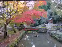 玉龍寺(岐阜県)