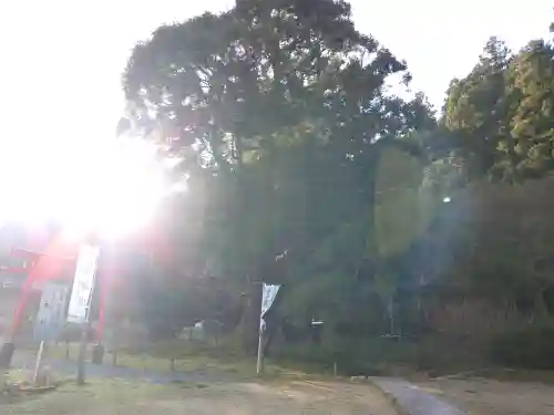 一本杉神社(島根県)