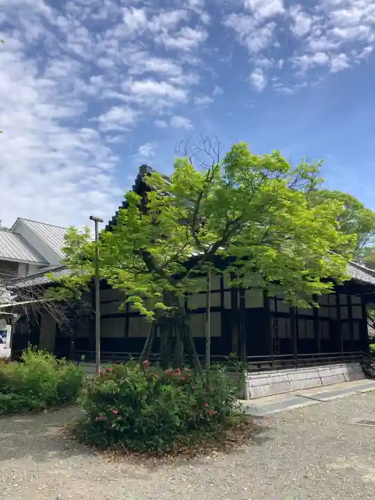 水無瀬神宮の{uncategorized: "未分類", other: "その他", undefined: "問題あり", building: "その他建物", grave: "お墓", sacred_gate: "鳥居", guardian: "狛犬", statue: "像", buddha: "仏像", history: "歴史", nature: "自然", garden: "庭園", animal: "動物", pagoda: "塔", temizu: "手水舎", mountain_gate: "山門・神門", sanctuary: "本殿・本堂", subordinate: "末社・摂社", art: "芸術", scenery: "景色", jizo: "地蔵", ema: "絵馬", goshuin: "御朱印", omikuji: "おみくじ", items: "授与品その他", amulet: "お守り", goshuincho: "御朱印帳", eats: "食事", festival: "お祭り", votive_dance: "神楽", shichigosan: "七五三参", wedding: "結婚式", experience: "体験その他", initially: "初詣", around: "周辺", anti_infection: "感染症対策"}