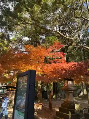 春日大社(奈良県)