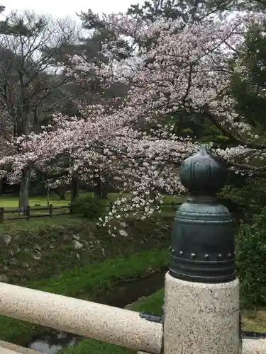 出雲大社の自然