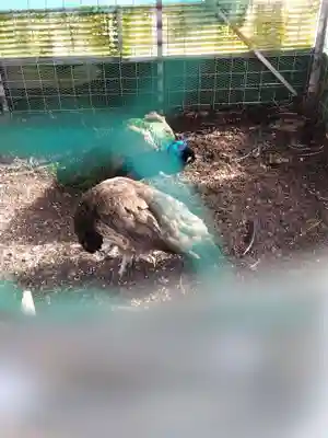 福井県護国神社(福井県)