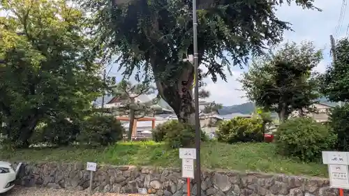 愛宕野々宮両御旅所(京都府)