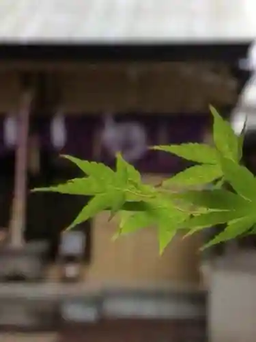 朝日神社(東京都)