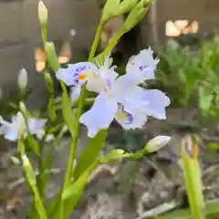 豊景神社の自然