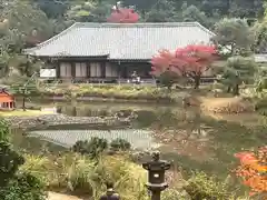 浄瑠璃寺の庭園