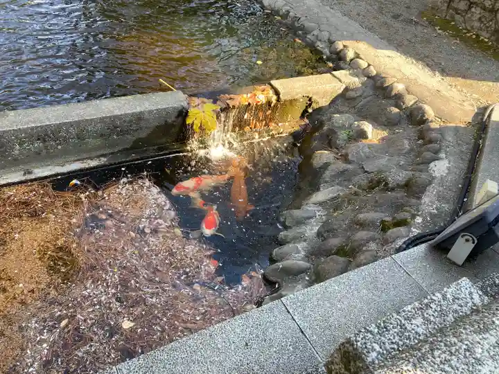 平塚八幡宮(神奈川県)
