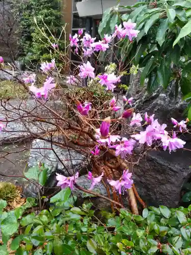 諏訪神社の庭園