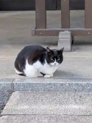 白金氷川神社(東京都)