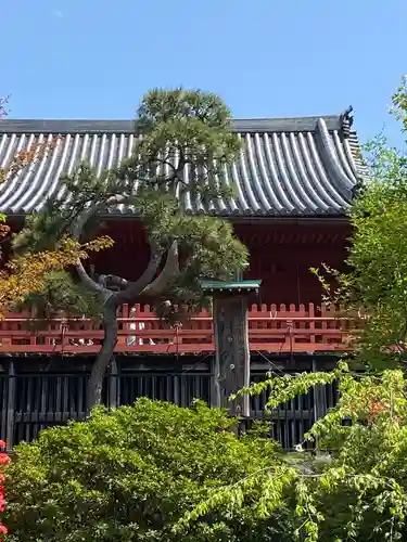 清水観音堂(東京都)