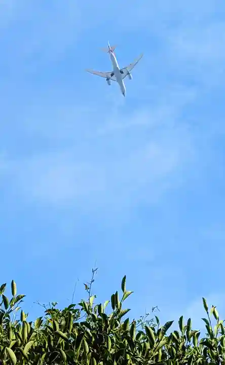 白金氷川神社の景色