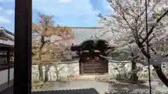 妙顯寺（妙顕寺）(京都府)