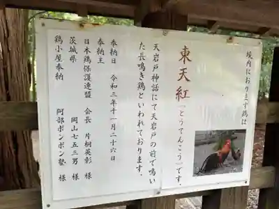 天岩戸神社(宮崎県)