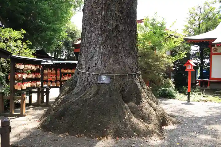冠稲荷神社(群馬県)