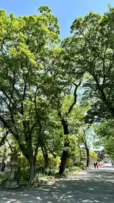 住吉大社(大阪府)