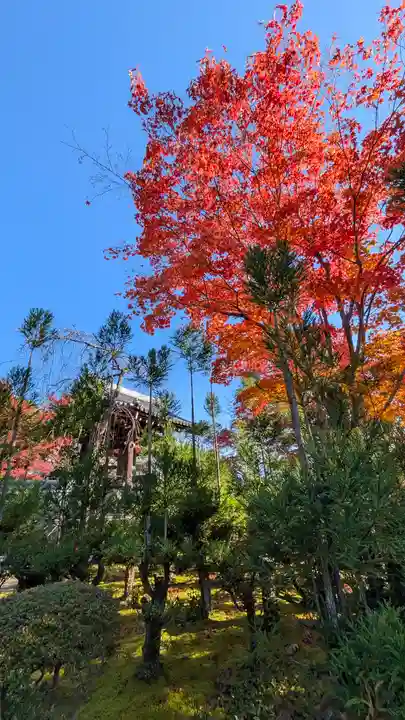 源光庵(京都府)