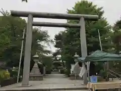 桜神宮の鳥居