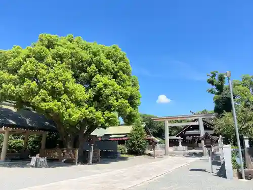 和泉國一之宮　大鳥大社(大阪府)