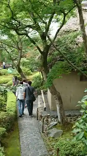 華厳寺（鈴虫寺）の庭園