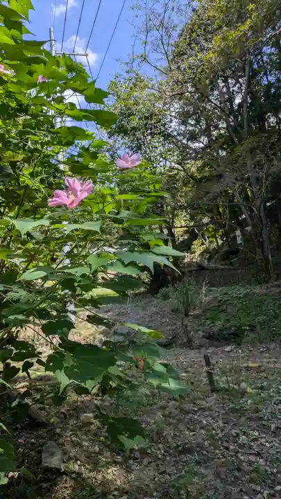 本照寺(京都府)