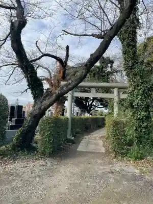 最勝院の{uncategorized: "未分類", other: "その他", undefined: "問題あり", building: "その他建物", grave: "お墓", sacred_gate: "鳥居", guardian: "狛犬", statue: "像", buddha: "仏像", history: "歴史", nature: "自然", garden: "庭園", animal: "動物", pagoda: "塔", temizu: "手水舎", mountain_gate: "山門・神門", sanctuary: "本殿・本堂", subordinate: "末社・摂社", art: "芸術", scenery: "景色", jizo: "地蔵", ema: "絵馬", goshuin: "御朱印", omikuji: "おみくじ", items: "授与品その他", amulet: "お守り", goshuincho: "御朱印帳", eats: "食事", festival: "お祭り", votive_dance: "神楽", shichigosan: "七五三参", wedding: "結婚式", experience: "体験その他", initially: "初詣", around: "周辺", anti_infection: "感染症対策"}