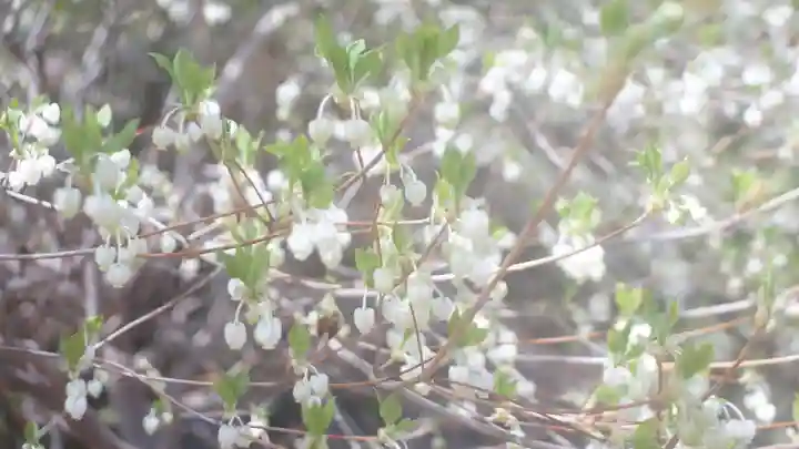 伊勢の国 四天王寺(三重県)