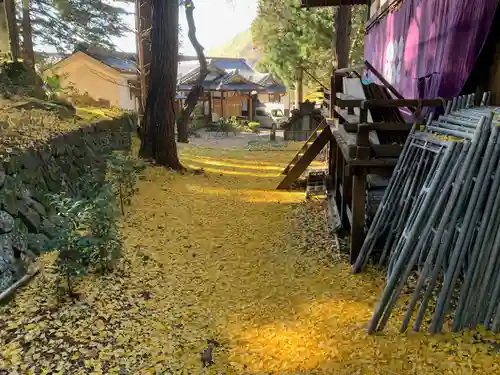 山家神社の自然