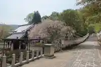 長谷寺のその他建物