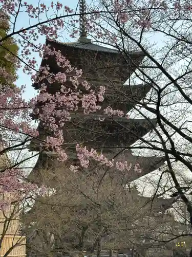 東寺（教王護国寺）(京都府)