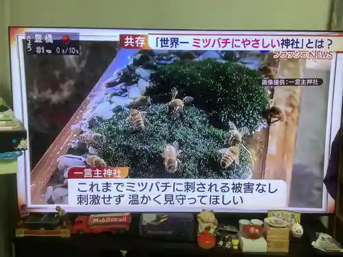 一言主神社(茨城県)