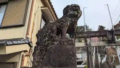 琴平神社の狛犬