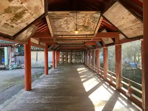 柞原八幡宮(大分県)