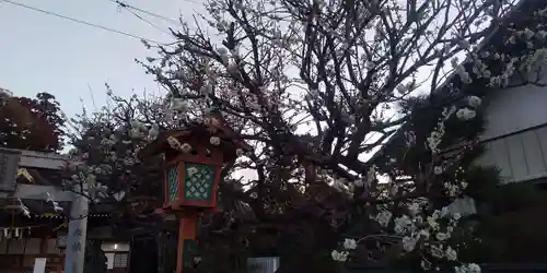 女化神社(茨城県)