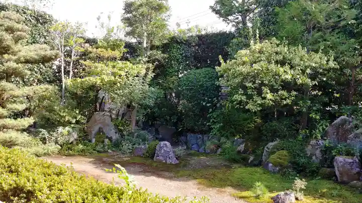 金臺寺(金台寺)の庭園