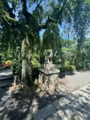 三嶋大社(静岡県)